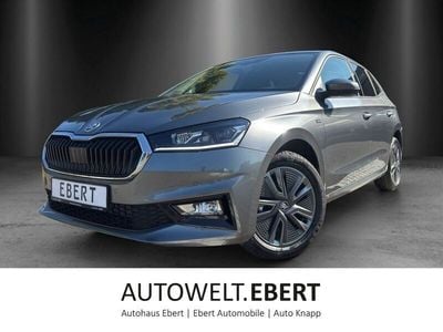 Grau Gebraucht 2025 Skoda Fabia Tour Kleinwagen | 21.980 € (Etwas zu teuer)
