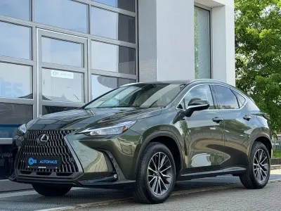 Brugt Lexus NX350h Business Edition 243 HK (178 kW) 2023 Grøn SUV