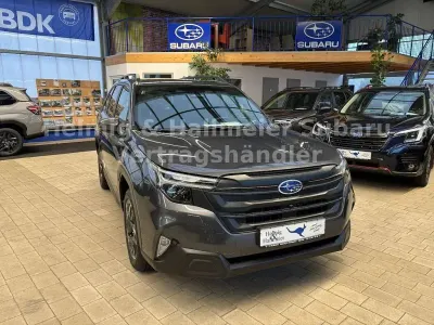 Gebraucht Subaru Forester