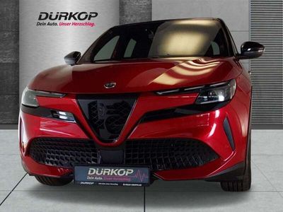 Alfa Romeo Junior