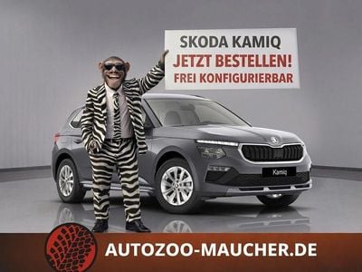Nieuw Skoda Kamiq Selection 116 PK (85 kW) 2026 Blauw SUV