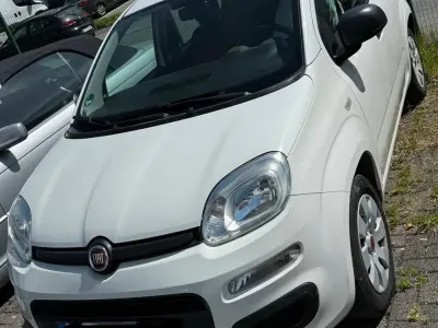 Occasion Fiat Panda Pop 69 ch (50 kW) 2015 Blanc Citadine