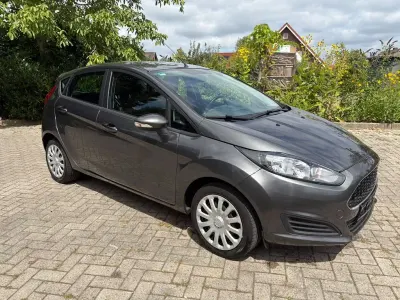 Gebraucht Ford Fiesta Trend 75 PS (55 kW) 2016 Grau Kleinwagen