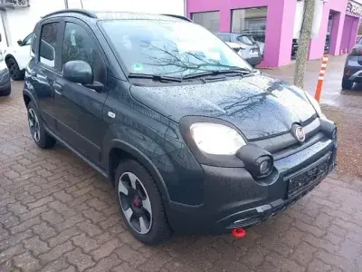 Brugt Fiat Panda Cross Cross 69 HK (50 kW) 2024 Grøn Hatchback