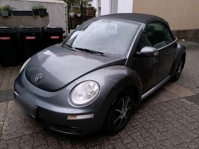 VW Beetle