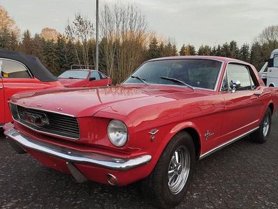Rot Gebraucht 1966 Ford Mustang GT Coupé | 33.500 €