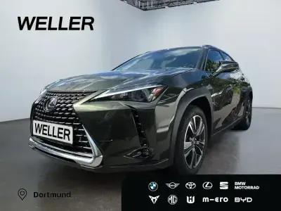 Gebraucht Lexus UX 250h Executive Line 184 PS (135 kW) 2023 Gruen SUV