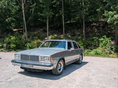 Gebraucht Chevrolet Malibu 277 PS (203 kW) 1978 Silber Limousine