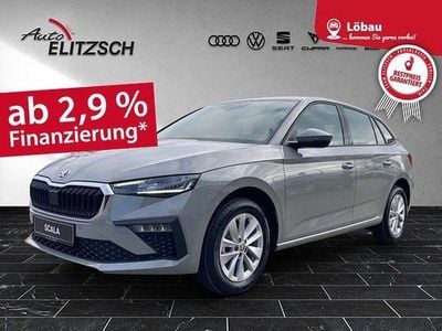 Usata Skoda Scala Selection 116 CV (85 kW) 2024 Grigio Utilitaria