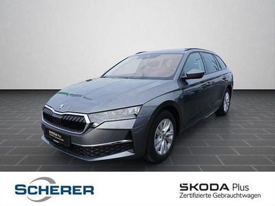 Grau Gebraucht 2025 Skoda Octavia Selection Kombi | 28.900 € (Guter Preis)