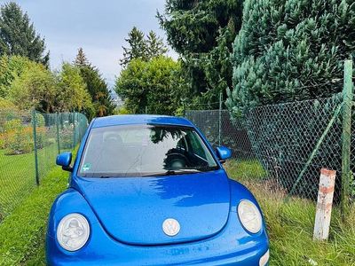 VW Beetle