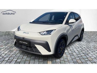 Neu BYD Dolphin Surf Boost 64 kW (88 PS) 2025 Kleinwagen