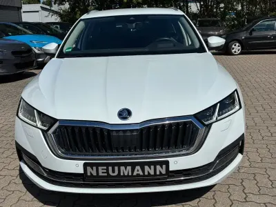 Gebraucht Skoda Octavia