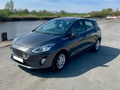 Gebraucht Ford Fiesta Cool & Connect 86 PS (63 kW) 2018 Grau Kleinwagen