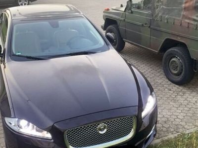 gebraucht Jaguar XJ Premium Luxury 3.0 V6 Diesel Premium Luxury