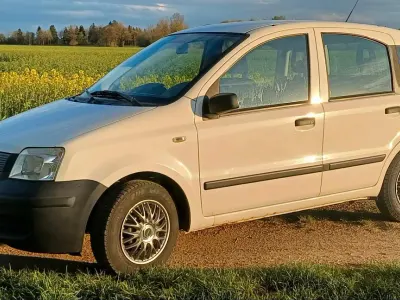 Gebraucht Fiat Panda Active 54 PS (39 kW) 2009 Weiß Kleinwagen