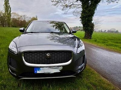 Second-hand Jaguar E-Pace S 179 CP (131 kW) 2019 Gri SUV