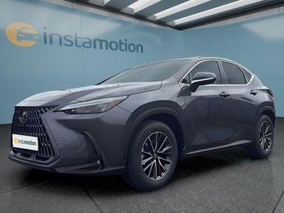 Neu Lexus NX350h Executive Line 243 PS (178 kW) 2025 Grau SUV