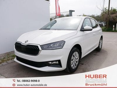 Usata Skoda Fabia