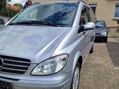 Mercedes Viano