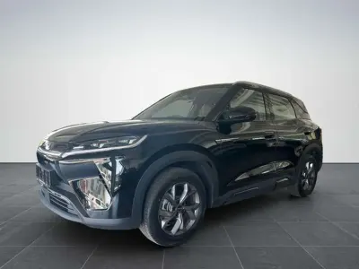 Occasion BYD Atto 2