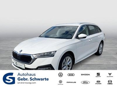 Gebraucht Skoda Octavia Style 116 PS (85 kW) 2023 Candyweiß Kombi
