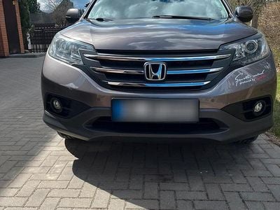 Usata Honda CR-V 120 CV (88 kW) 2014 Marrone SUV