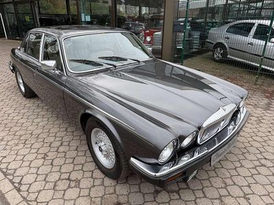 Gebraucht Jaguar XJ12 264 PS (194 kW) 1989 Grau Limousine
