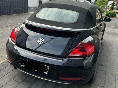 VW Beetle