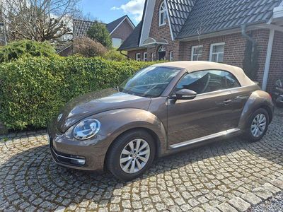 Usata VW Beetle 105 CV (77 kW) 2015 Marrone Utilitaria