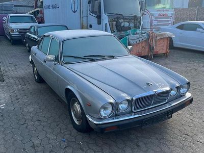 Gebraucht Jaguar XJ6 162 PS (119 kW) 1984 Silber Limousine
