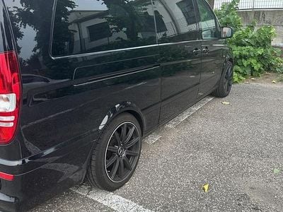 Mercedes Viano