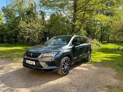 Grau Gebraucht 2019 Cupra Ateca SUV | 29.999 € (Teuer)
