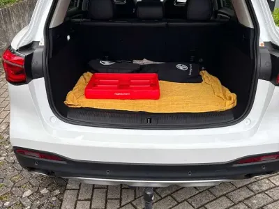 Käytetty MG EHS