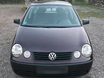 Gebraucht VW Polo 54 PS (39 kW) 2002 Violet Kleinwagen