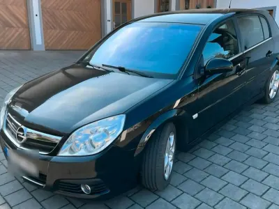 Używany Opel Signum