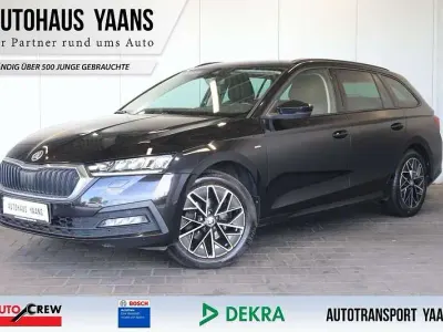 Gebraucht Skoda Octavia