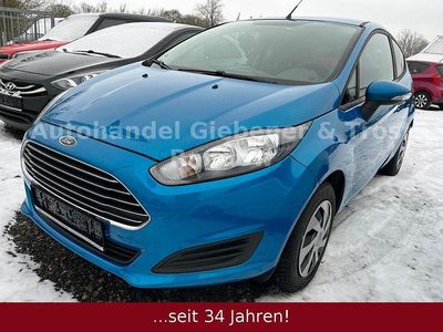 Usata Ford Fiesta Trend 60 CV (44 kW) 2015 Blu Utilitaria