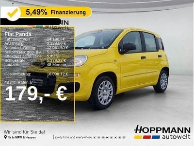 Neu Fiat Panda Icon 69 PS (50 kW) 2026 Gelb Limousine