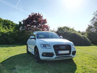 Brugt Audi SQ5 Competition 326 HK (239 kW) 2016 Hvid SUV