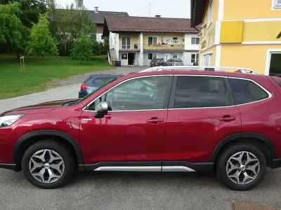 Gebraucht Subaru Forester