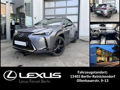 Gebraucht Lexus UX 250h 184 PS (135 kW) 2022 Grau SUV