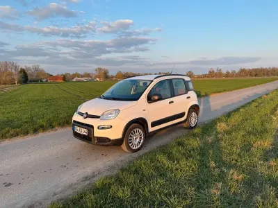 Gebraucht Fiat Panda 4x4 86 PS (63 kW) 2015 Weiß Kleinwagen
