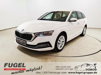 Gebraucht Skoda Octavia Style 116 PS (85 kW) 2023 Candyweiss Kombi