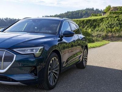 Gebraucht Audi e-tron Advanced 230 kW (313 PS) 2020 Blau SUV