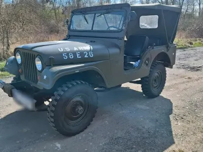 Gebraucht Jeep CJ 75 PS (55 kW) 1967 SUV