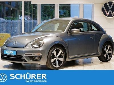 VW Beetle