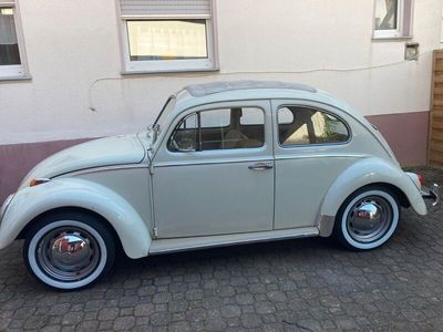 gebraucht VW Käfer Faktdach1963