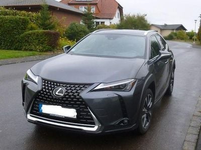 Gebraucht Lexus UX 250h 2023 Grau SUV