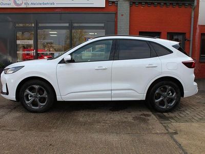 Neu Ford Kuga ST-Line 186 PS (136 kW) 2026 Weiß SUV